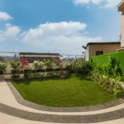 Lawn area (1)
